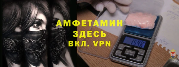 гидра Богородск