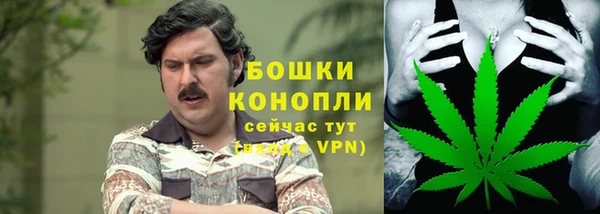 каннабис Аркадак