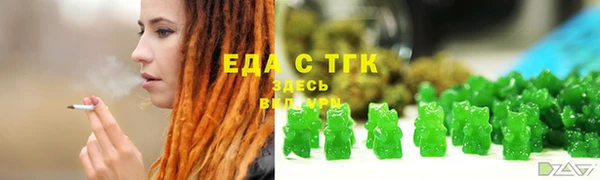 гидра Богородск