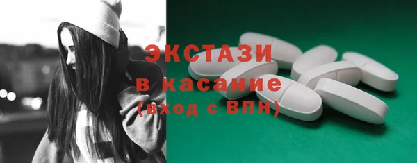 гидра Богородск