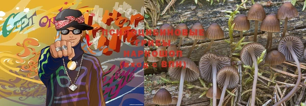 эйфоретик Богданович