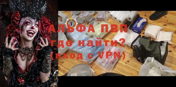 эйфоретик Богданович