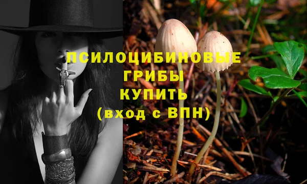 марки nbome Богородицк