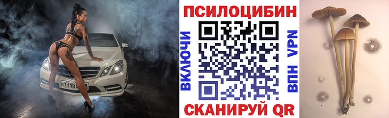 Псилоцибиновые грибы MAGIC MUSHROOMS  Надым 