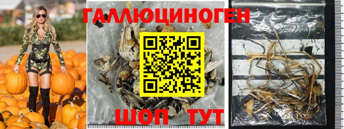 Надым  Галлюциногенные грибы Psilocybine cubensis  Вход с VPN 