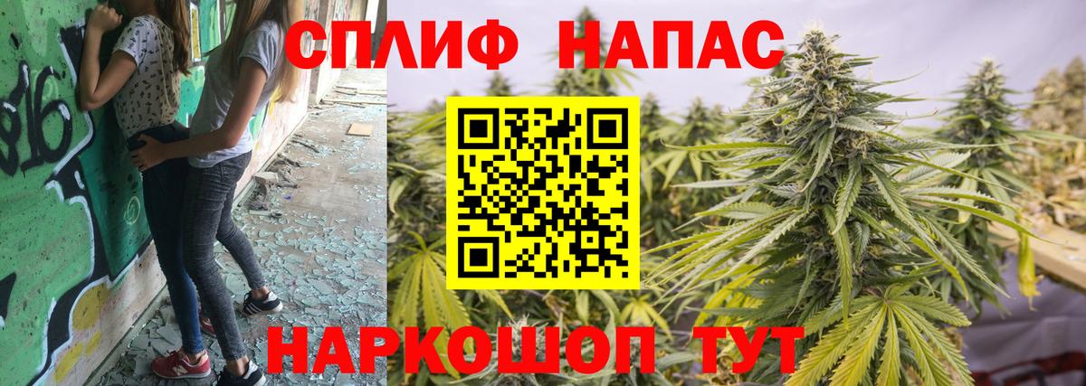 Бошки Шишки семена Надым